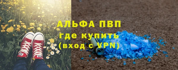 PSILOCYBIN Сатка