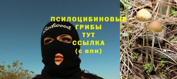 PSILOCYBIN Сатка