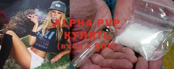 PSILOCYBIN Сатка